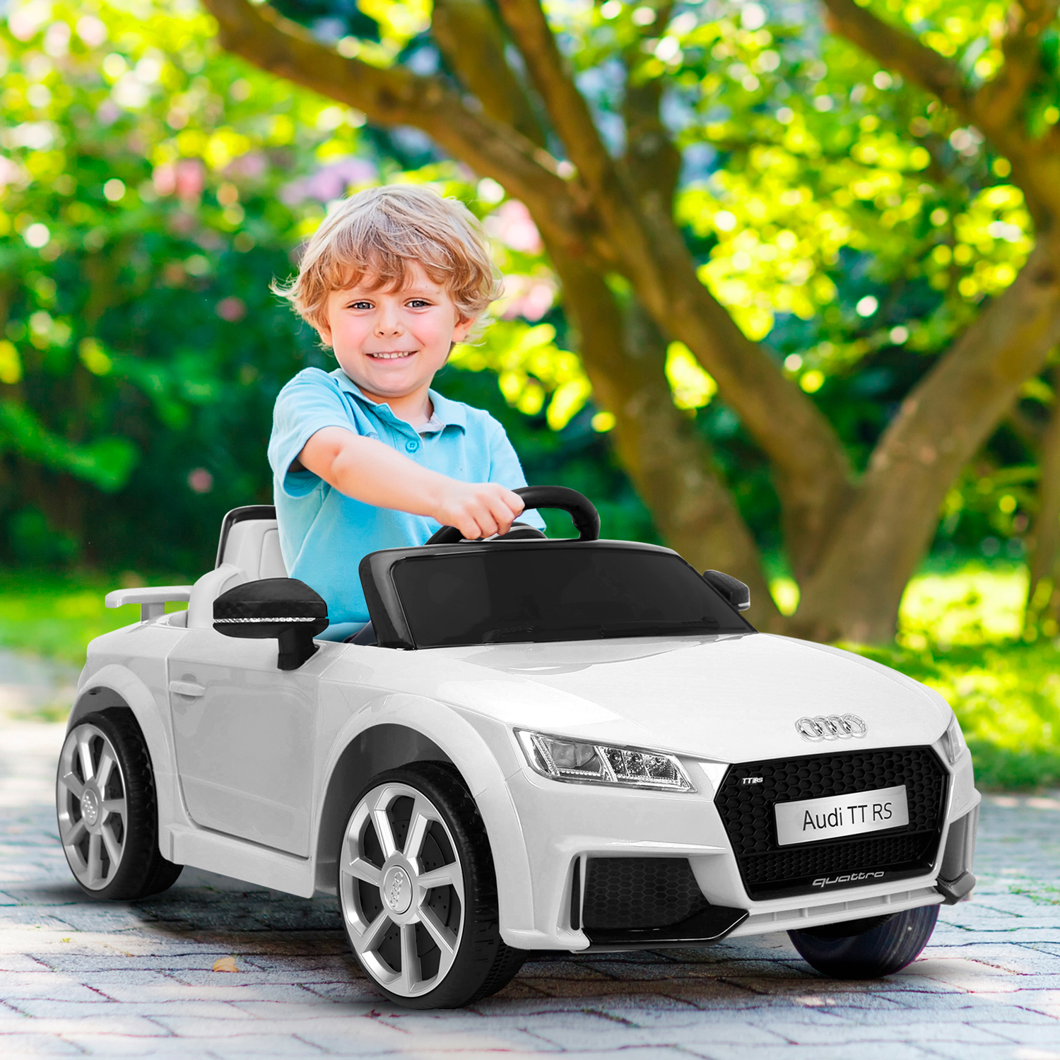 bcelecauditt012-blanc-04