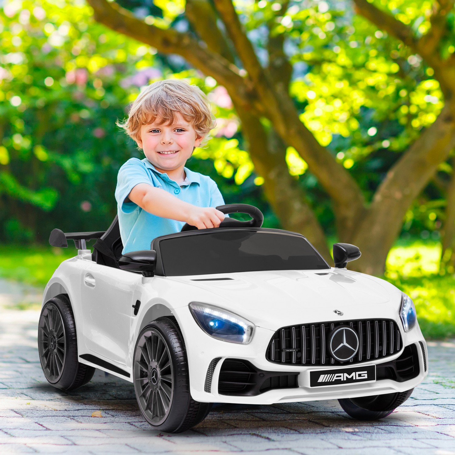 bcelecmbgtr12012-blanc-01