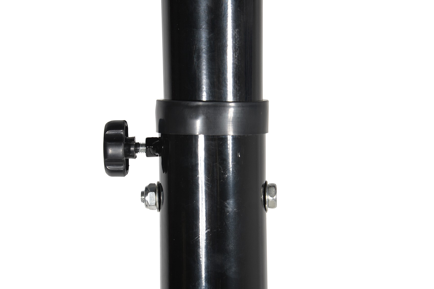 panbb305-021-04